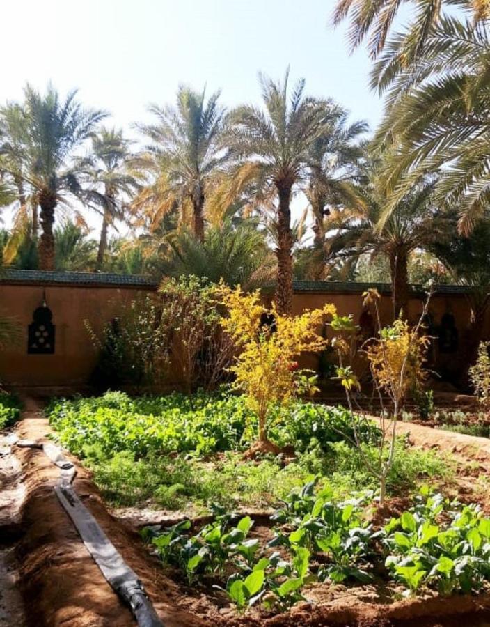 Riad Dar Sofian Zagora Esterno foto